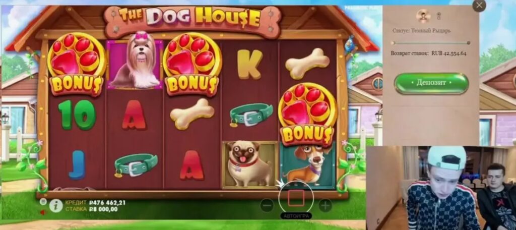 В какие казино выигрывает Мелстрой?