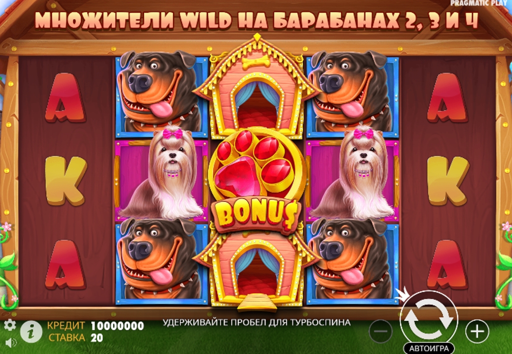 Игровые автоматы казино с выводом денег 2026